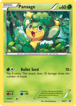 Pansage #BW11 — Pokemon Promo