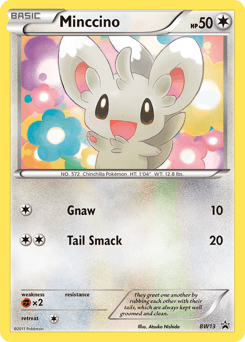 Minccino #BW13 — Pokemon Promo