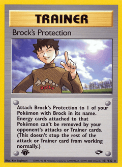 Brock's Protection #101 — Pokemon Gym Challenge