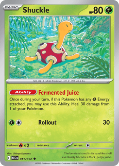 Shuckle #11 — Pokemon Mega Evolution