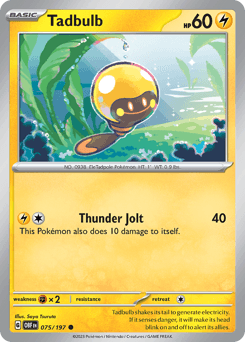 Tadbulb #75 — Pokemon Obsidian Flames