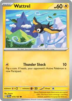 Wattrel #75 — Pokemon Twilight Masquerade