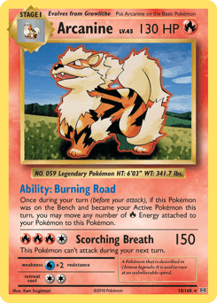 Arcanine #18 — Pokemon Evolutions