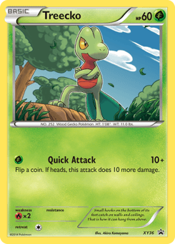 Treecko #XY36 — Pokemon Promo