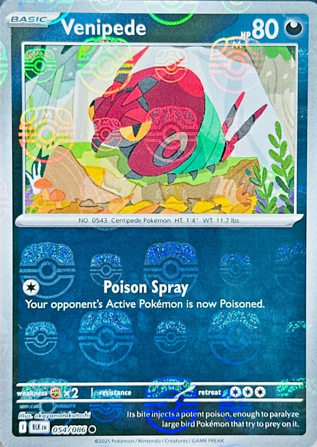 Venipede [Master Ball] #54 — Pokemon Black Bolt