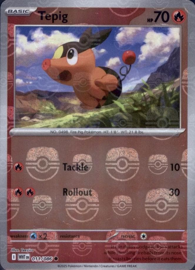 Tepig [Master Ball] #11 — Pokemon White Flare
