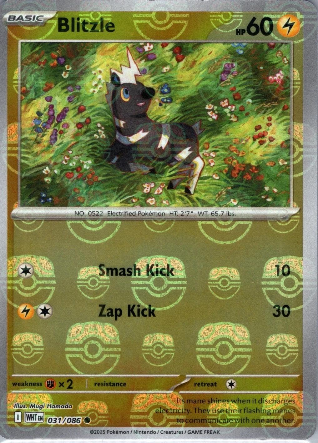 Blitzle [Master Ball] #31 — Pokemon White Flare