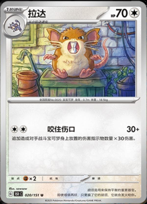 Raticate #20 — Pokemon Chinese 151 Collect