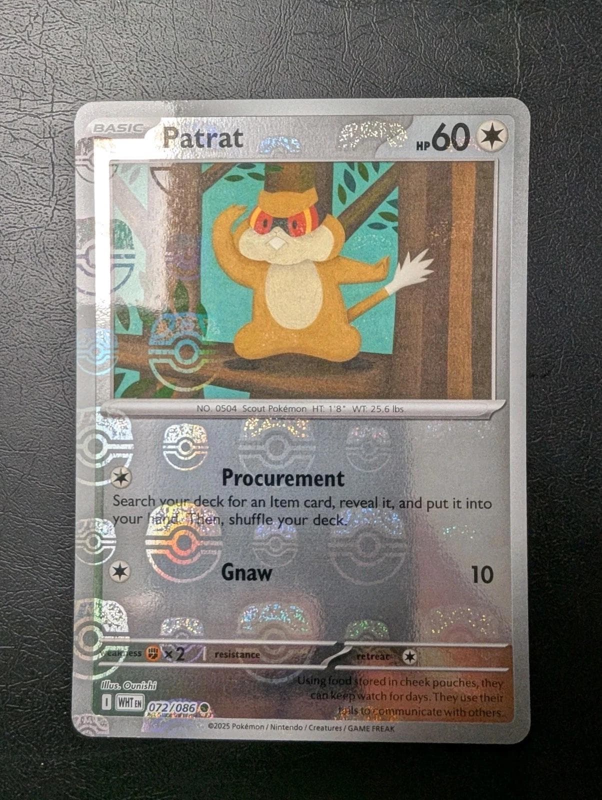 Patrat [Master Ball] #72 — Pokemon White Flare