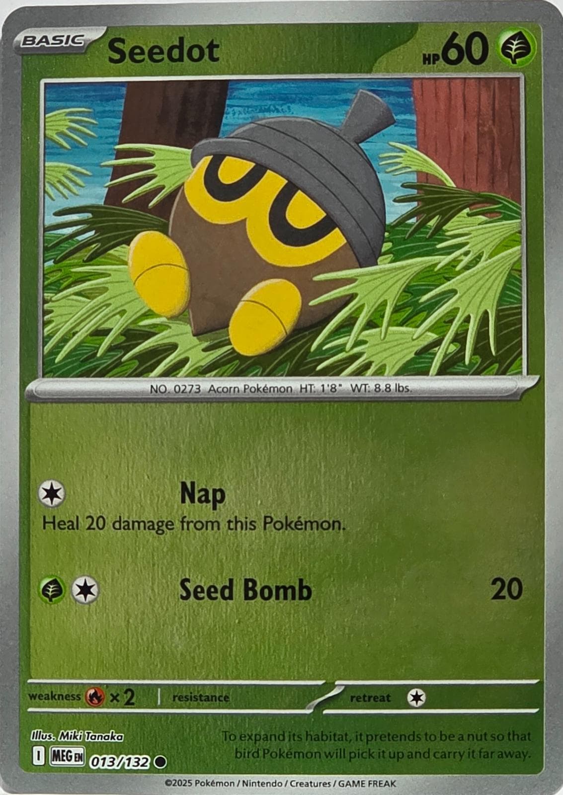 Seedot [Reverse Holo] #13 — Pokemon Mega Evolution