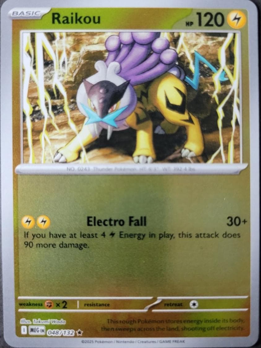 Raikou [Reverse Holo] #48 — Pokemon Mega Evolution
