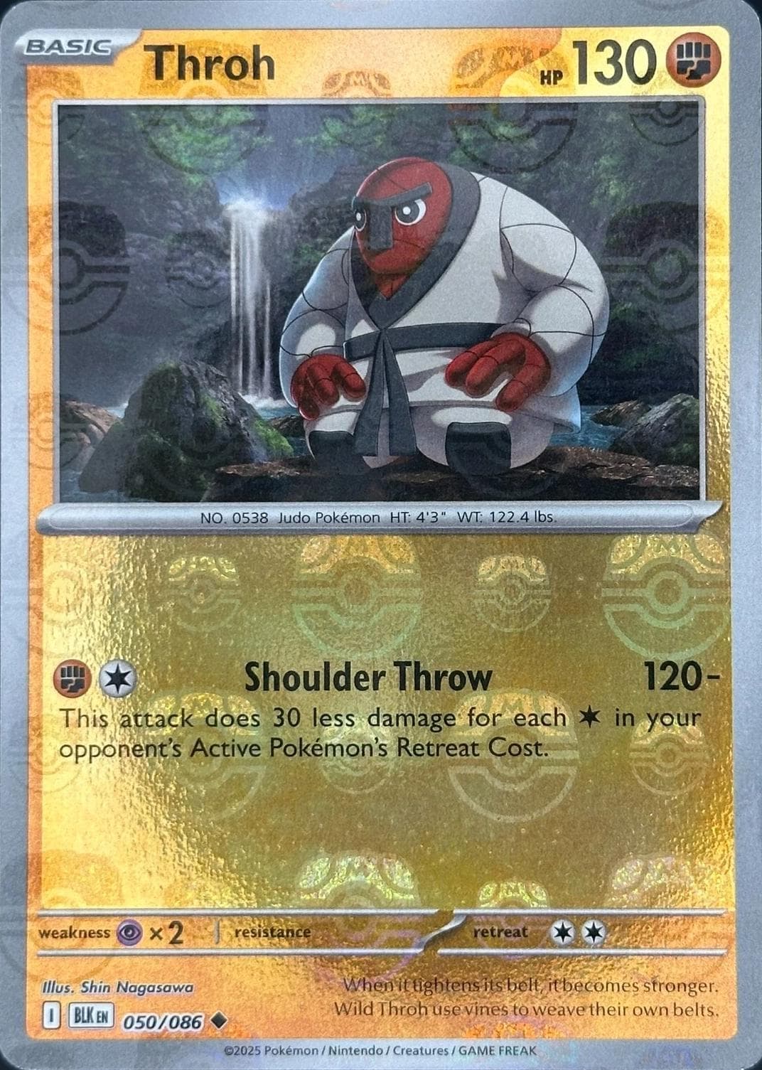 Throh [Master Ball] #50 — Pokemon Black Bolt