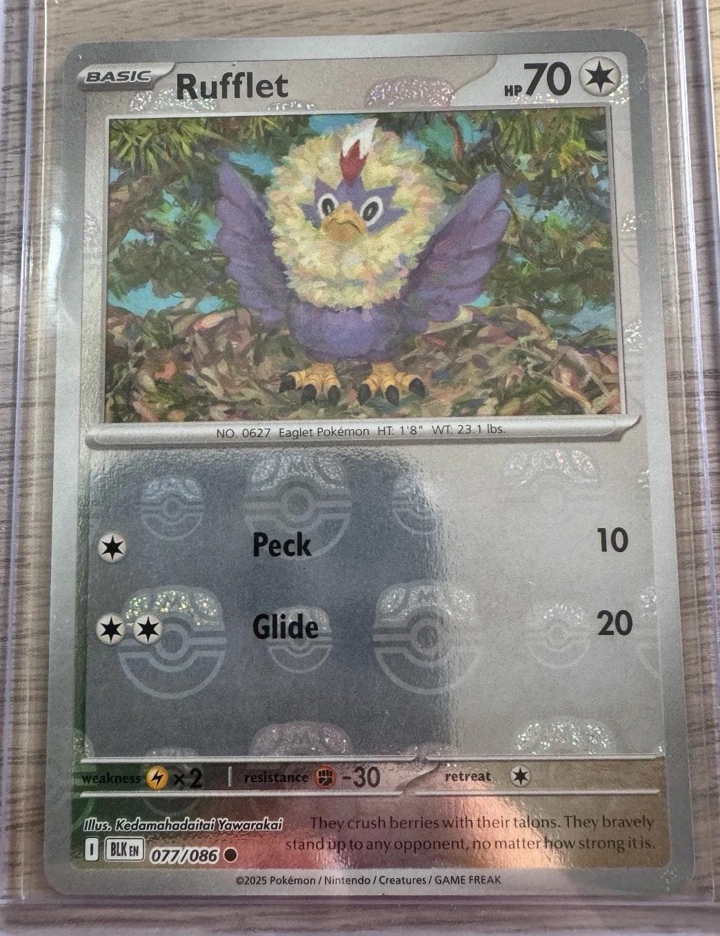 Rufflet [Master Ball] #77 — Pokemon Black Bolt