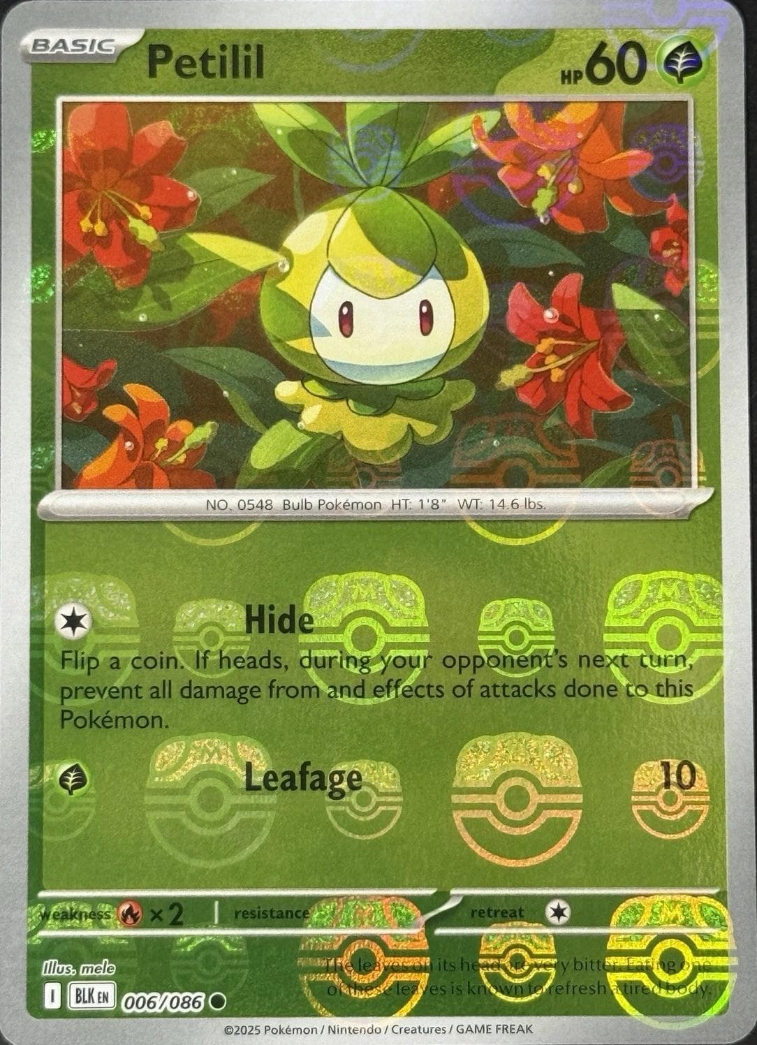 Petilil [Master Ball] #6 — Pokemon Black Bolt
