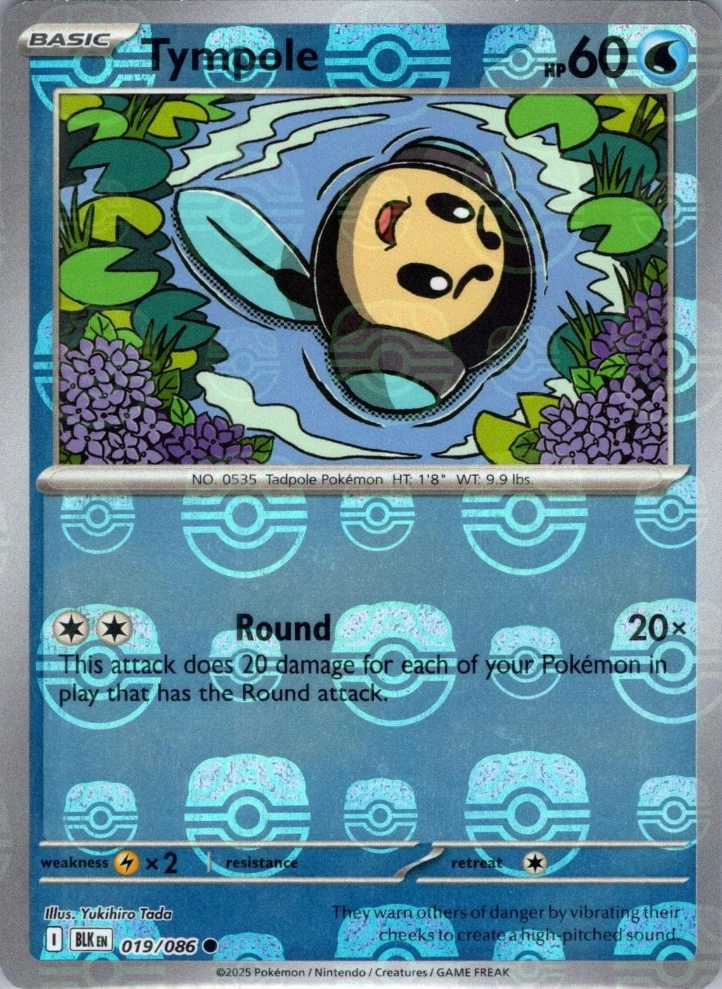 Tympole [Master Ball] #19 — Pokemon Black Bolt