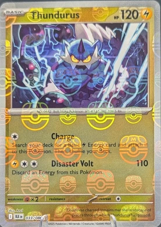 Thundurus [Master Ball] #33 — Pokemon Black Bolt