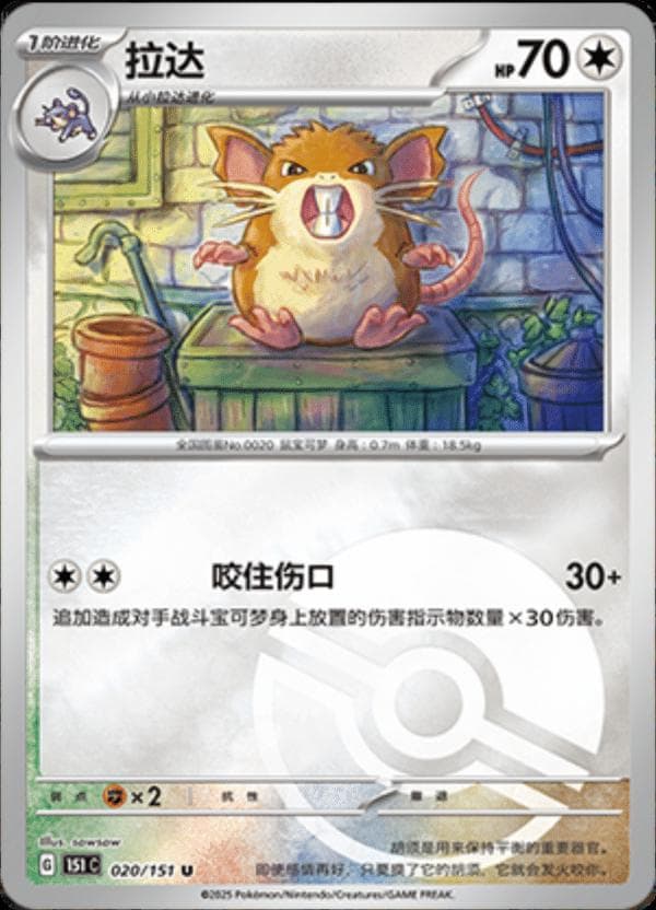 Raticate [Reverse] #20 — Pokemon Chinese 151 Collect