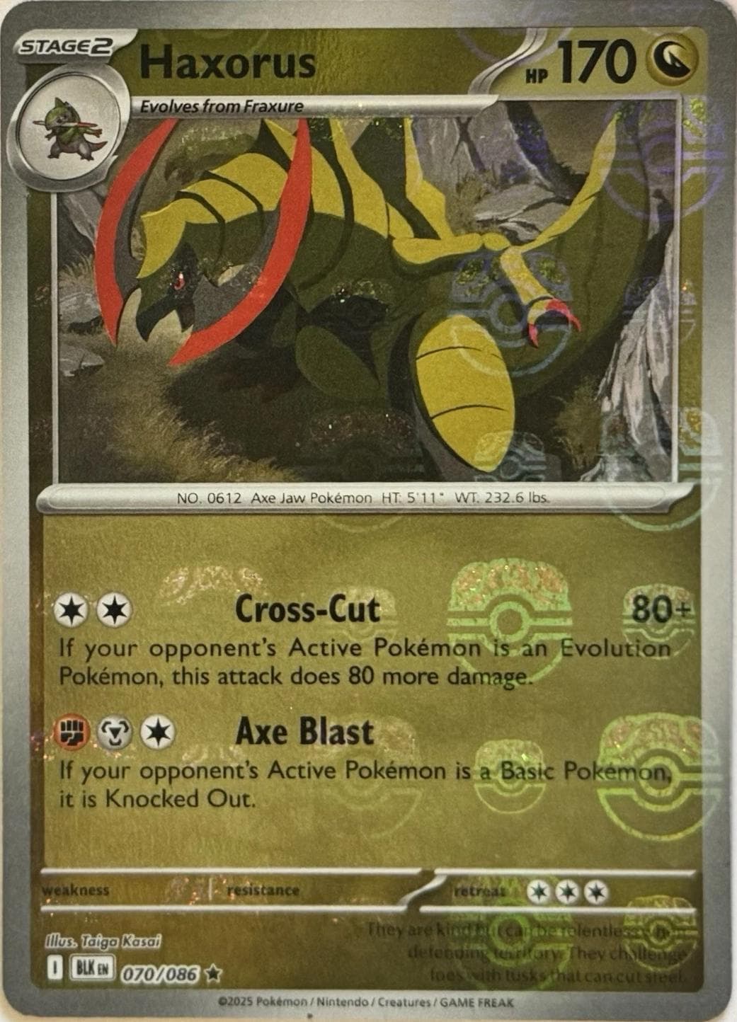 Haxorus [Master Ball] #70 — Pokemon Black Bolt