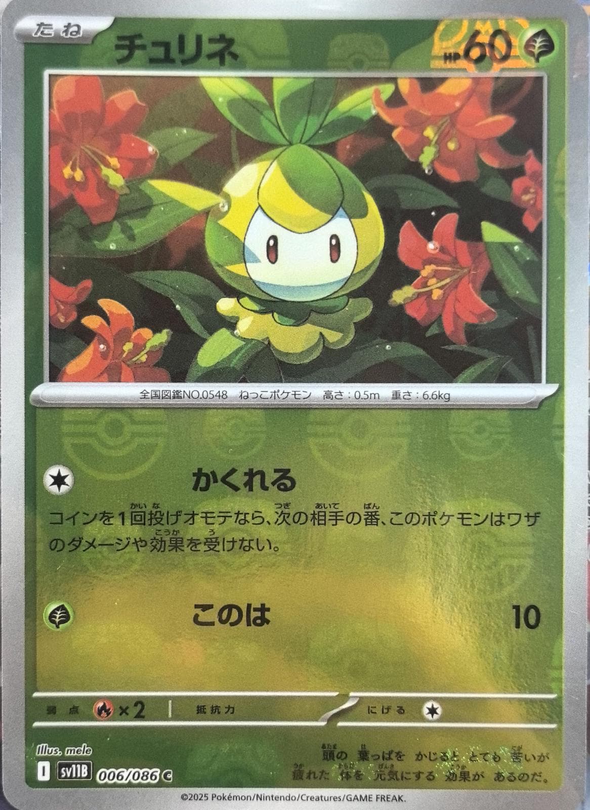 Petilil [Master Ball] #6 — Pokemon Japanese Black Bolt