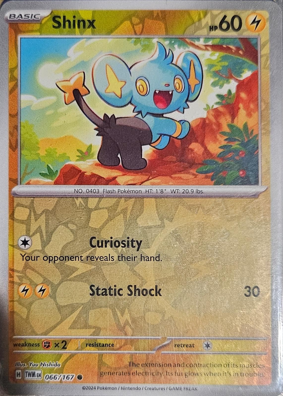 Shinx [Reverse Holo] #66 — Pokemon Twilight Masquerade