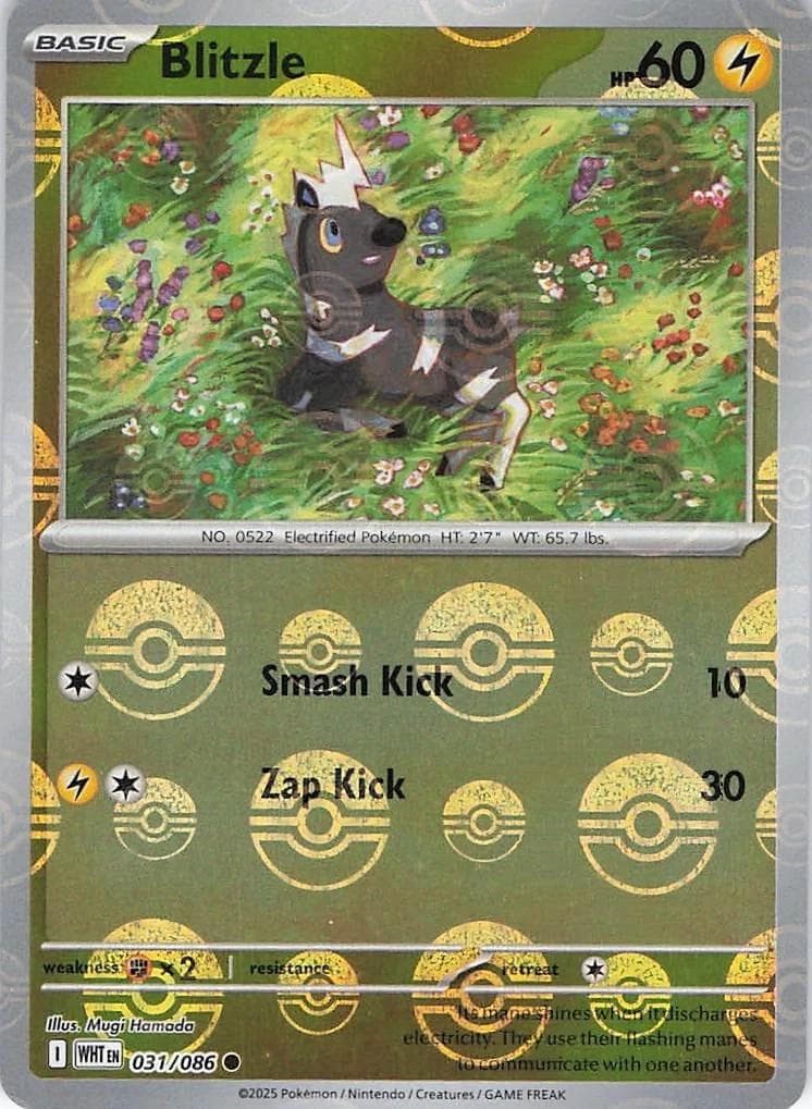 Blitzle [Poke Ball] #31 — Pokemon White Flare