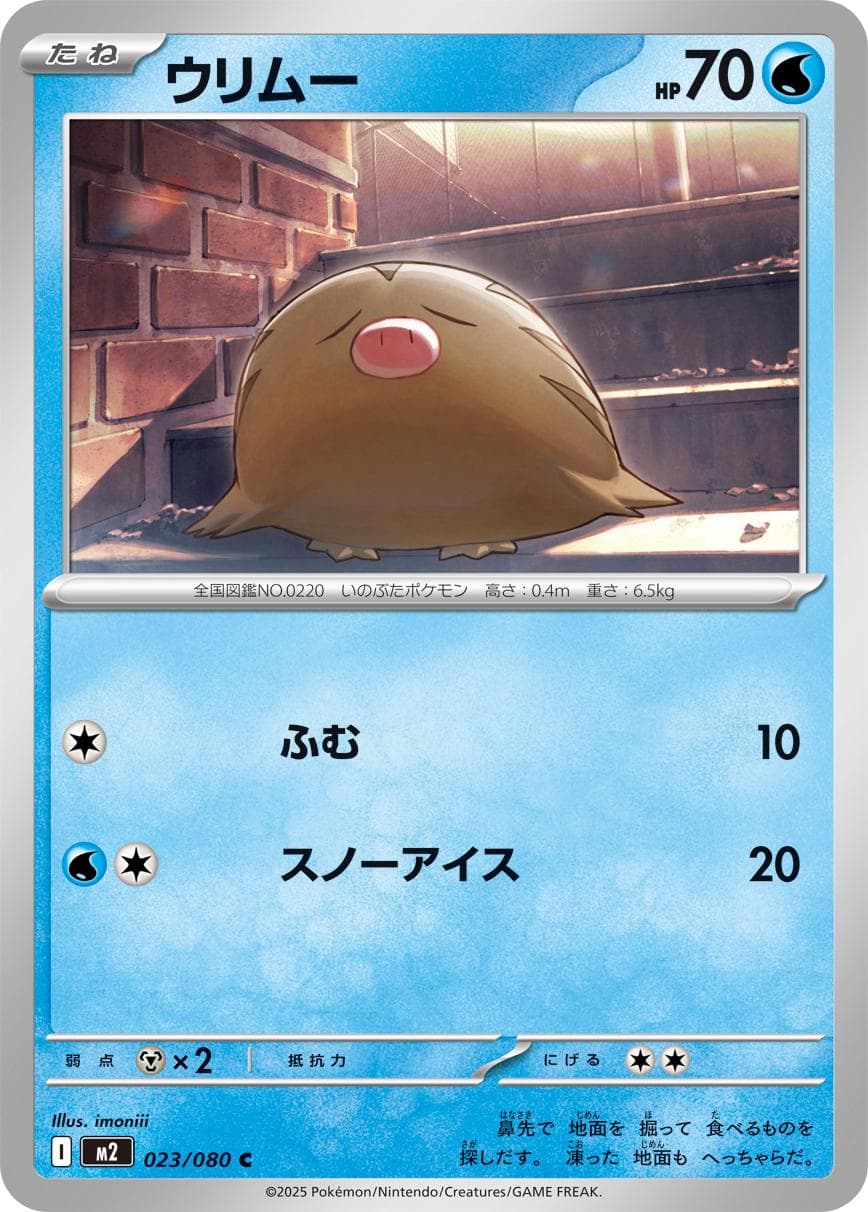 Swinub #23 — Pokemon Japanese Inferno X