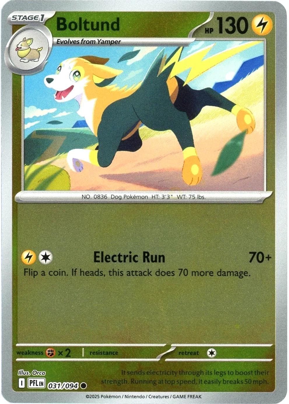 Boltund [Reverse Holo] #31 — Pokemon Phantasmal Flames