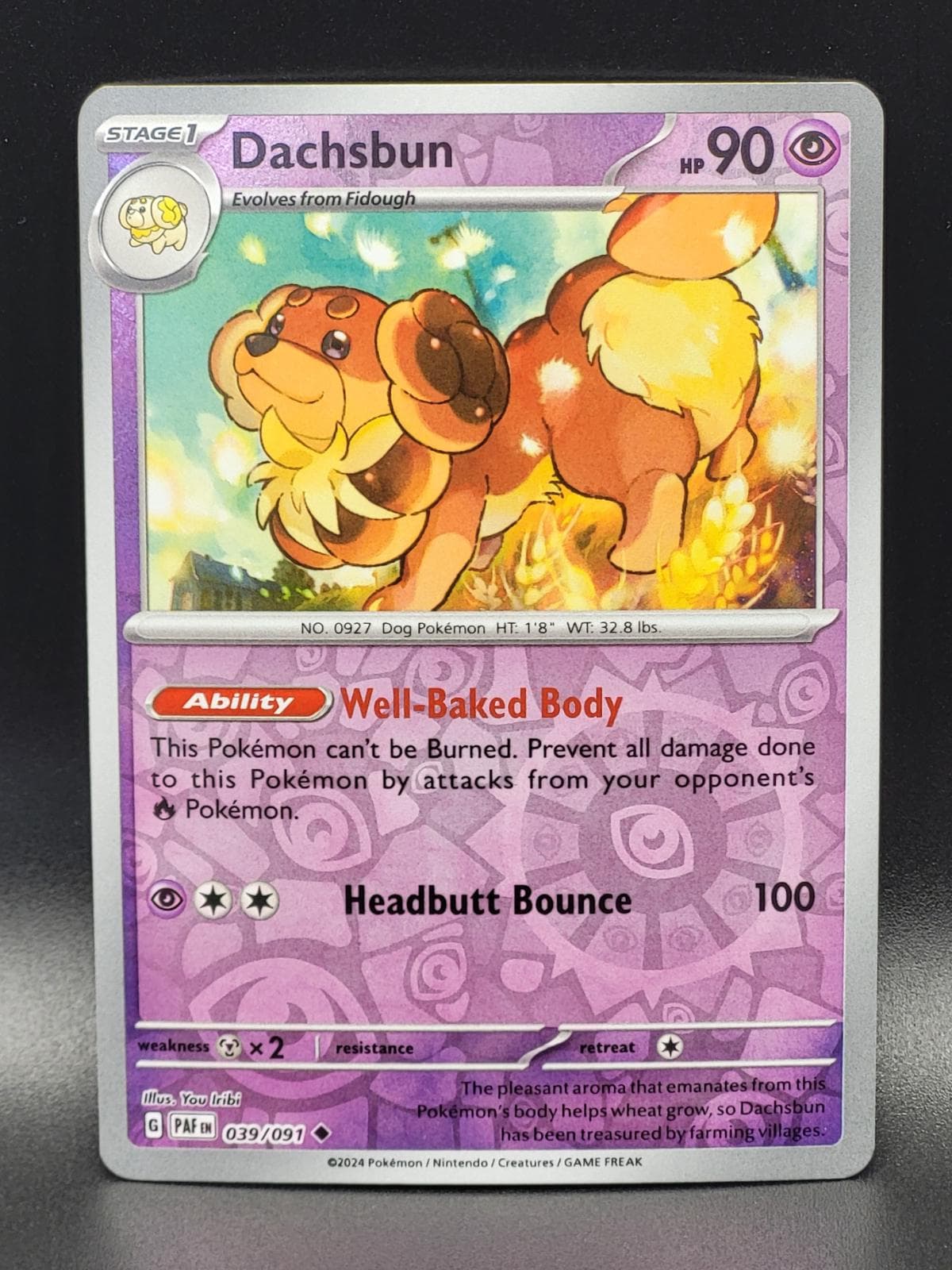 Dachsbun [Reverse Holo] #39 — Pokemon Paldean Fates