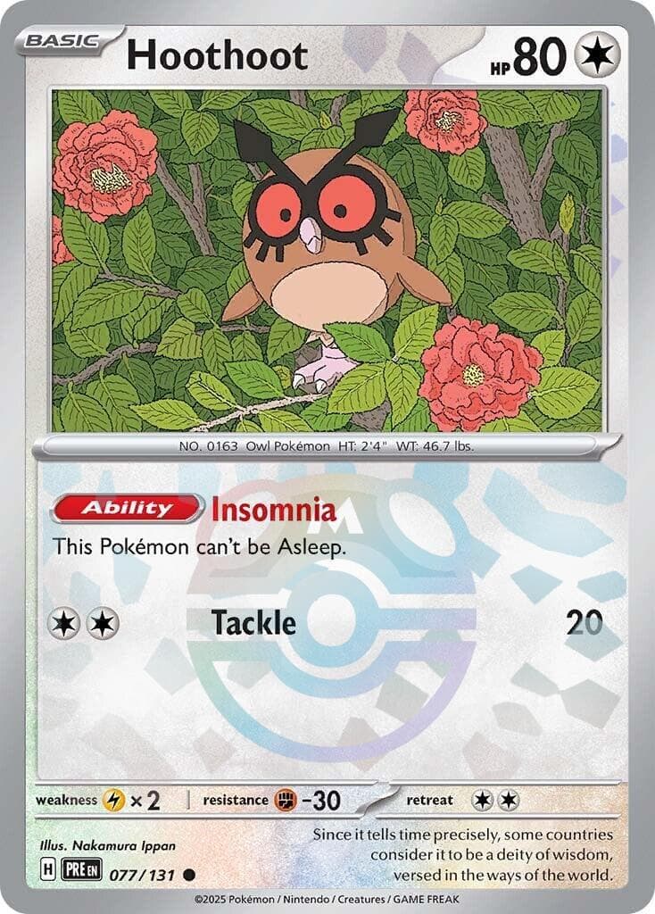 Hoothoot [Master Ball] #77 — Pokemon Prismatic Evolutions
