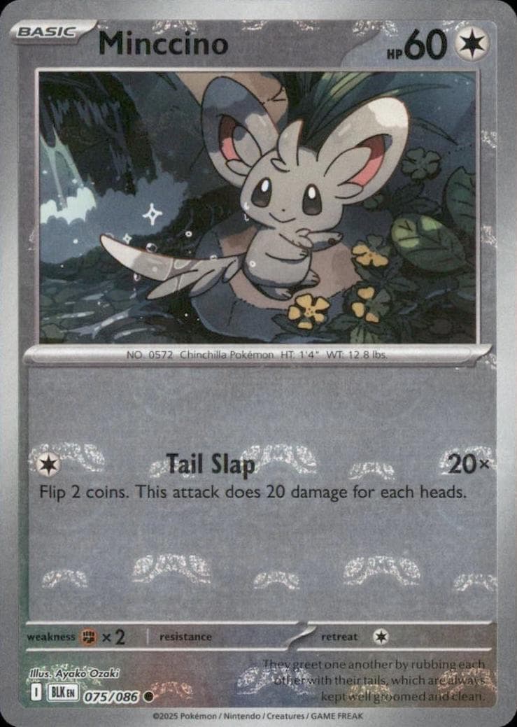 Minccino [Master Ball] #75 — Pokemon Black Bolt