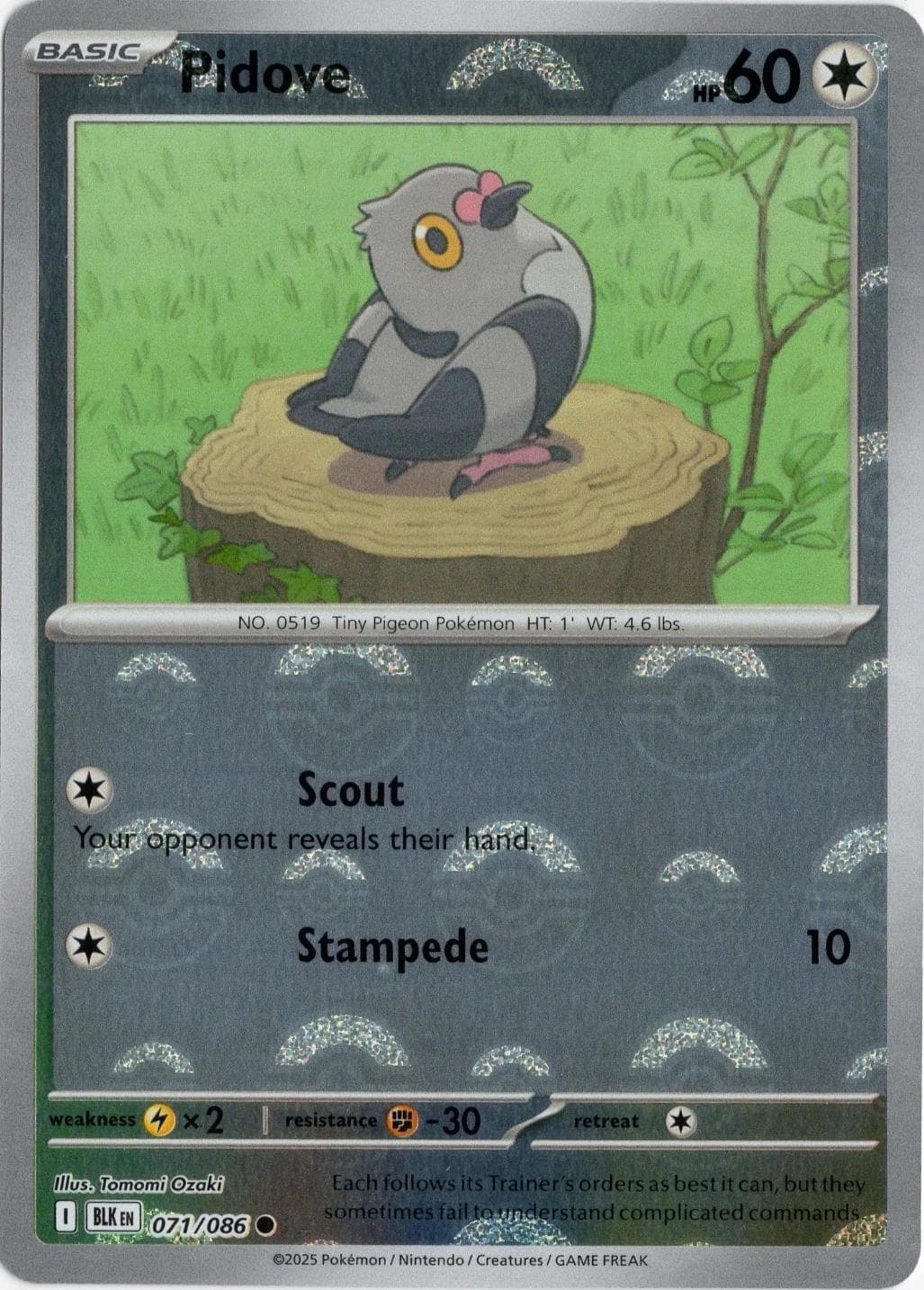 Pidove [Poke Ball] #71 — Pokemon Black Bolt