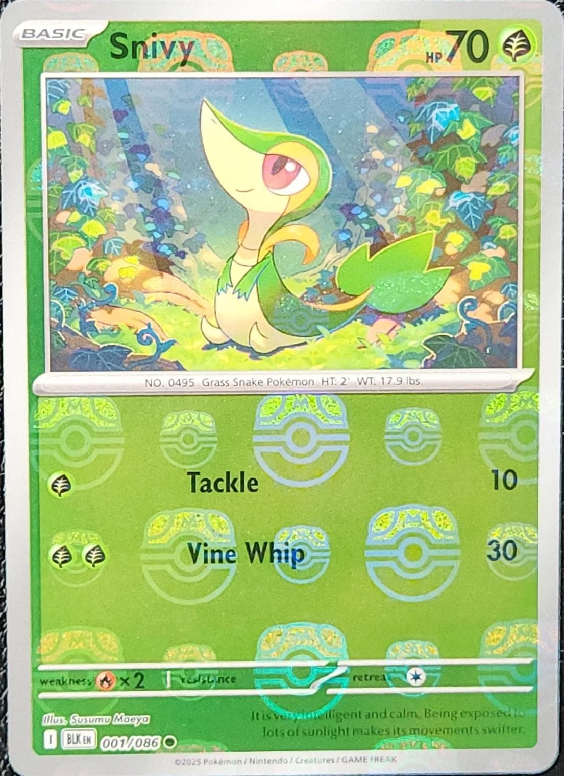 Snivy [Master Ball] #1 — Pokemon Black Bolt
