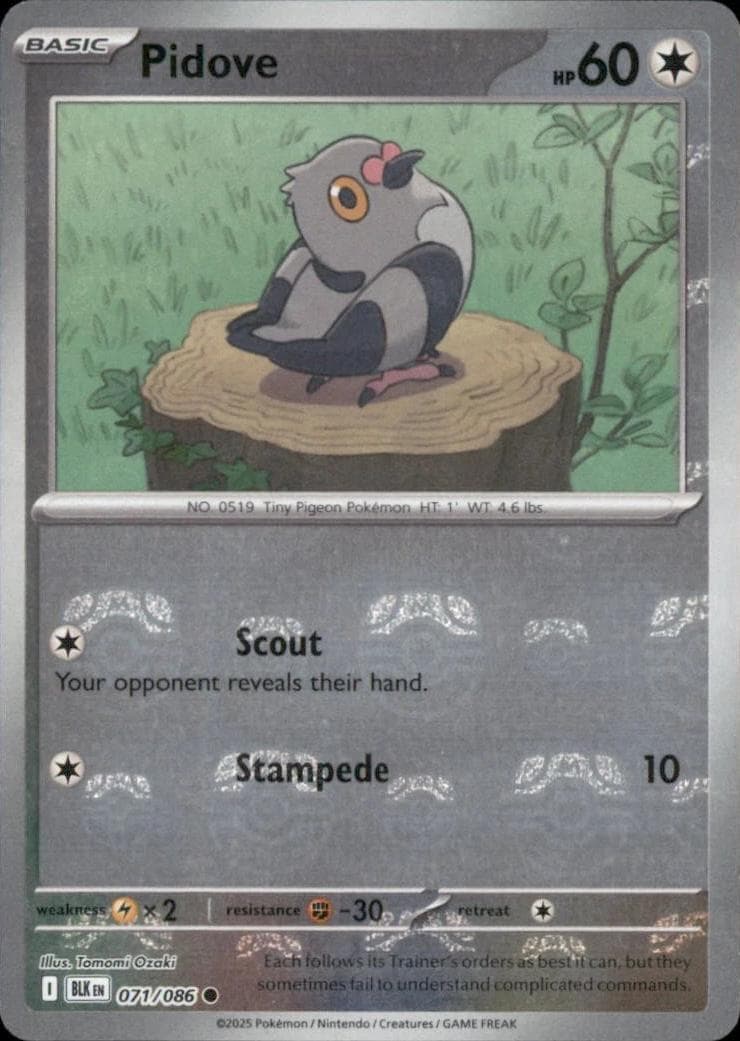 Pidove [Master Ball] #71 — Pokemon Black Bolt