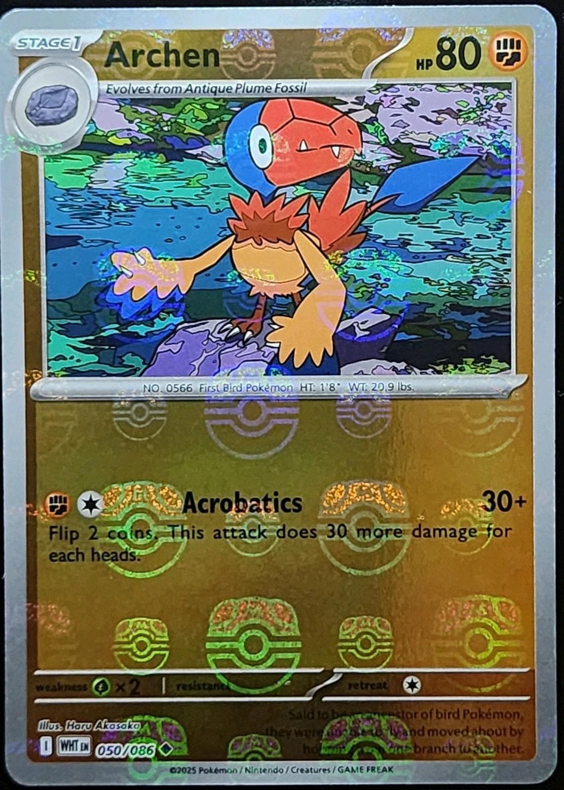 Archen [Master Ball] #50 — Pokemon White Flare