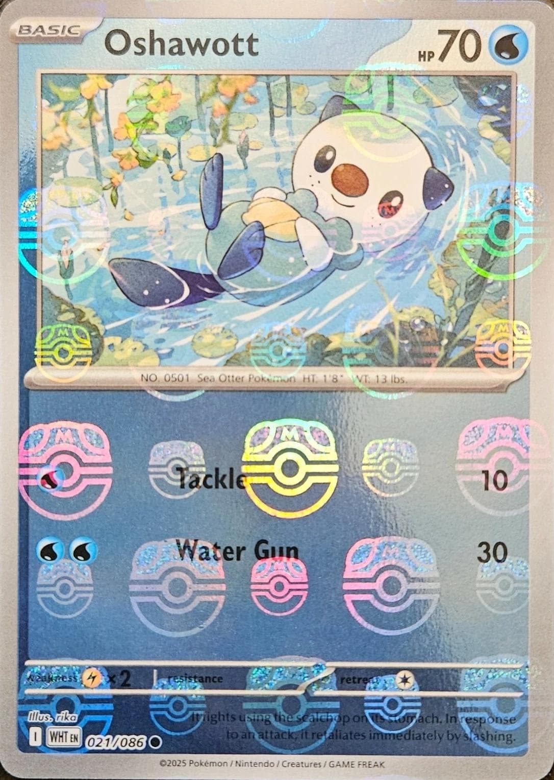 Oshawott [Master Ball] #21 — Pokemon White Flare