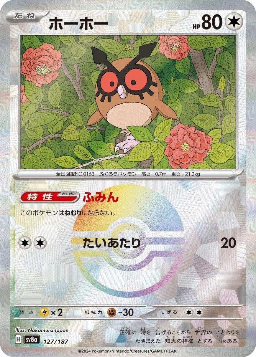 Hoothoot [Poke Ball] #127 — Pokemon Japanese Terastal Festival