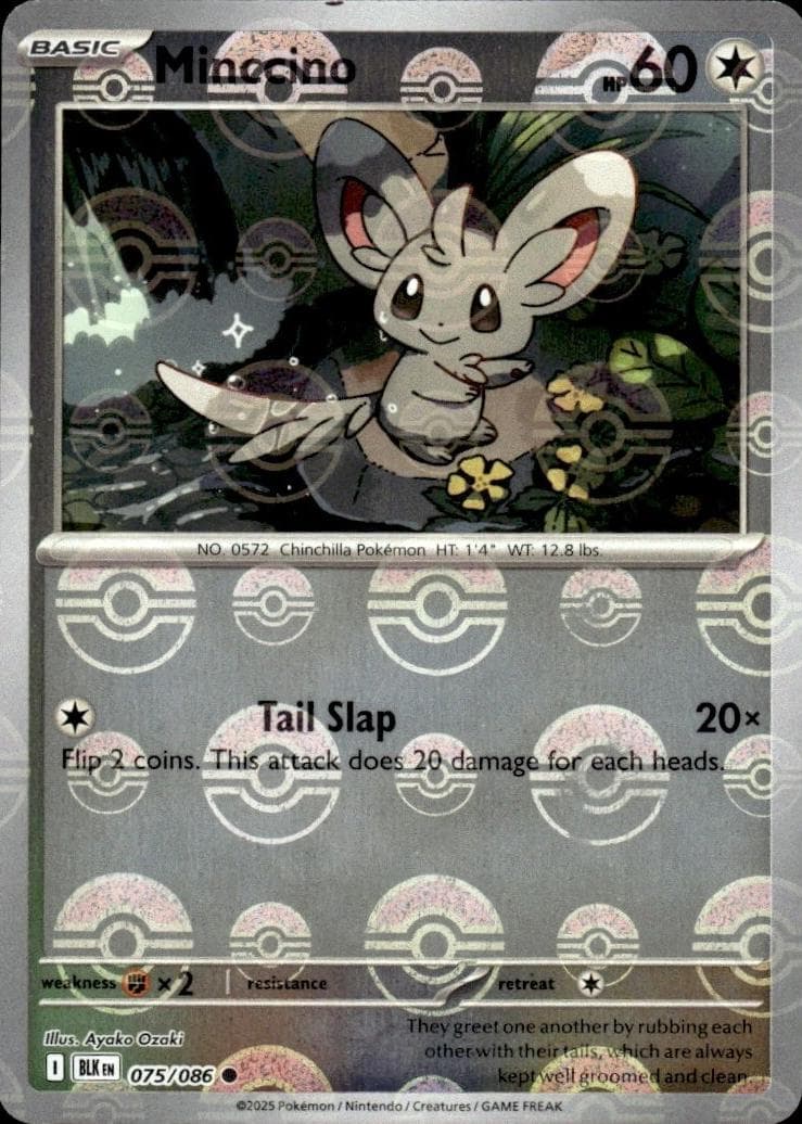 Minccino [Poke Ball] #75 — Pokemon Black Bolt