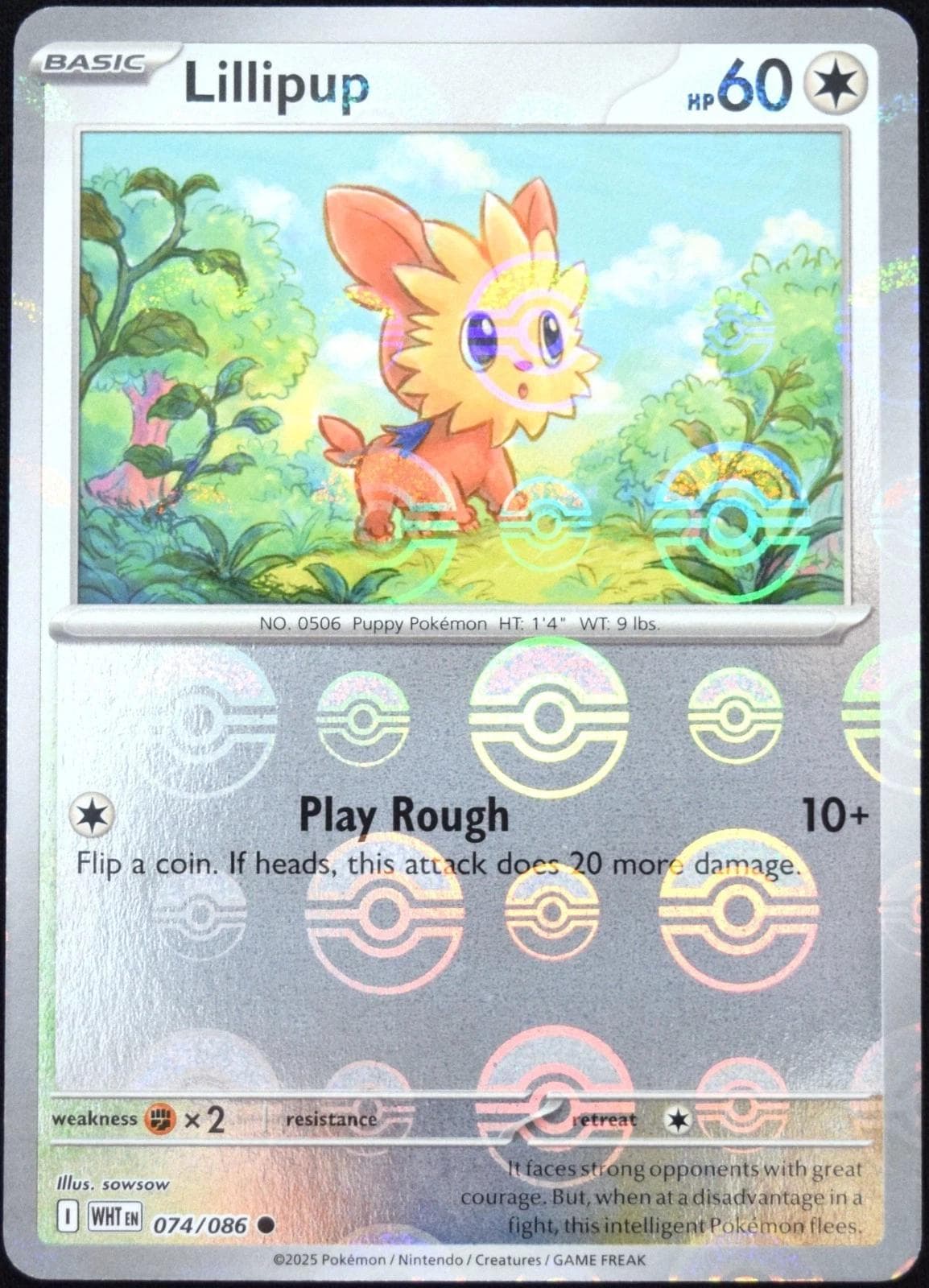Lillipup [Poke Ball] #74 — Pokemon White Flare