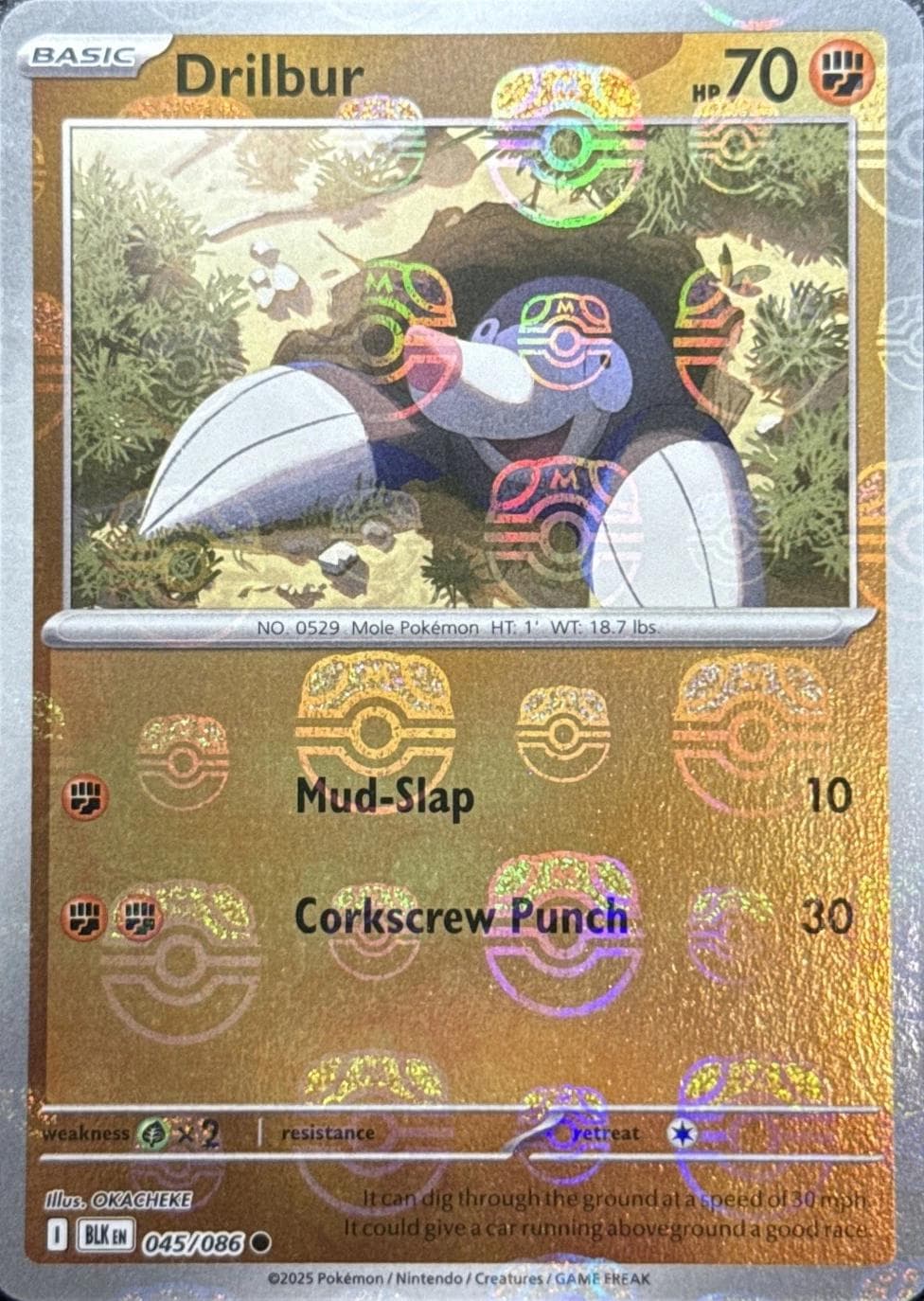 Drilbur [Master Ball] #45 — Pokemon Black Bolt