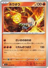 Ho-Oh #10