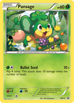 Pansage #BW14 — Pokemon Promo