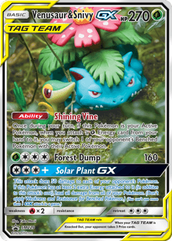 Venusaur & Snivy GX #SM229 — Pokemon Promo