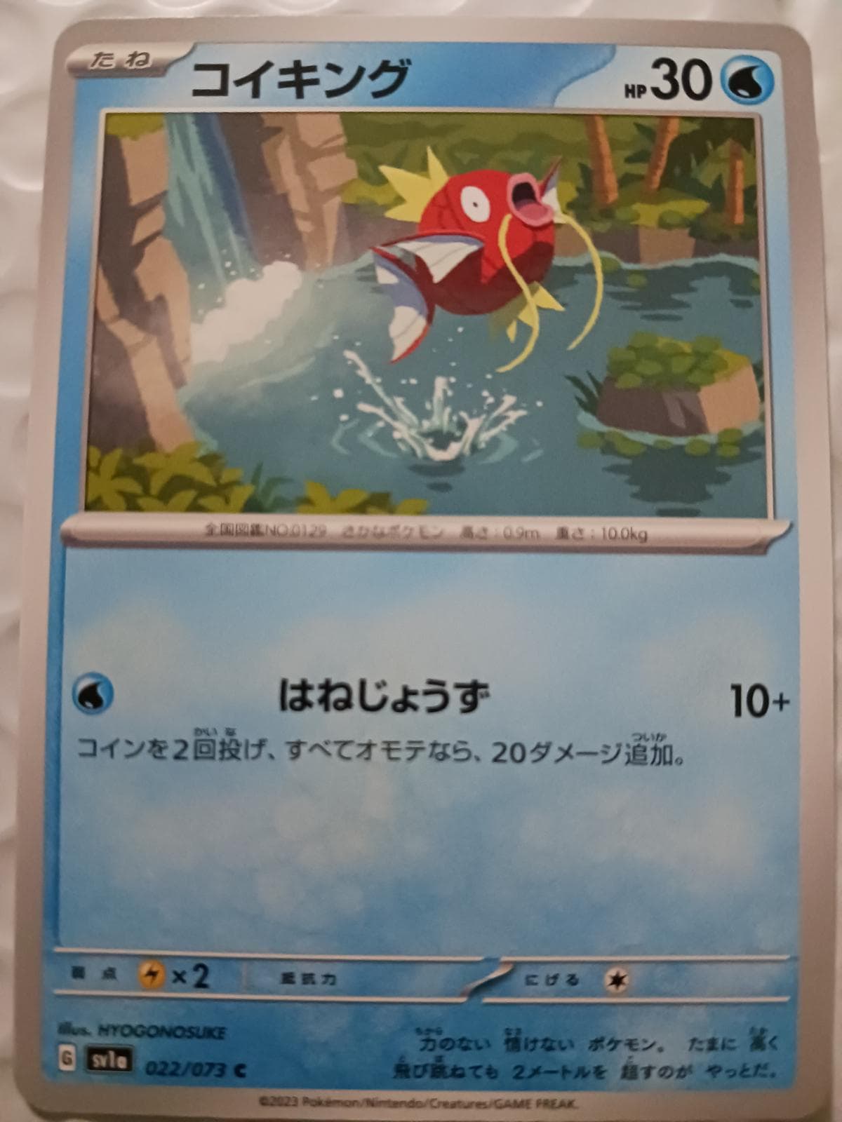 Magikarp #22 — Pokemon Japanese Triplet Beat