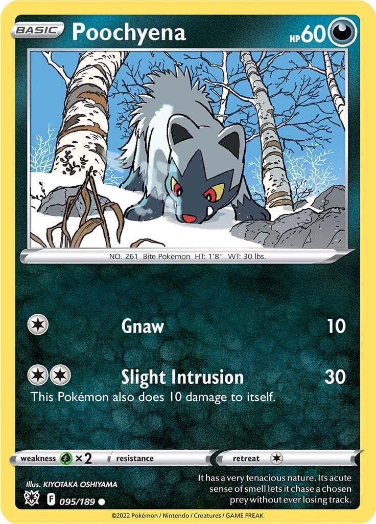 Poochyena #95 — Pokemon Astral Radiance