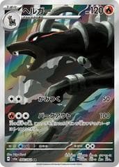 Houndoom #66