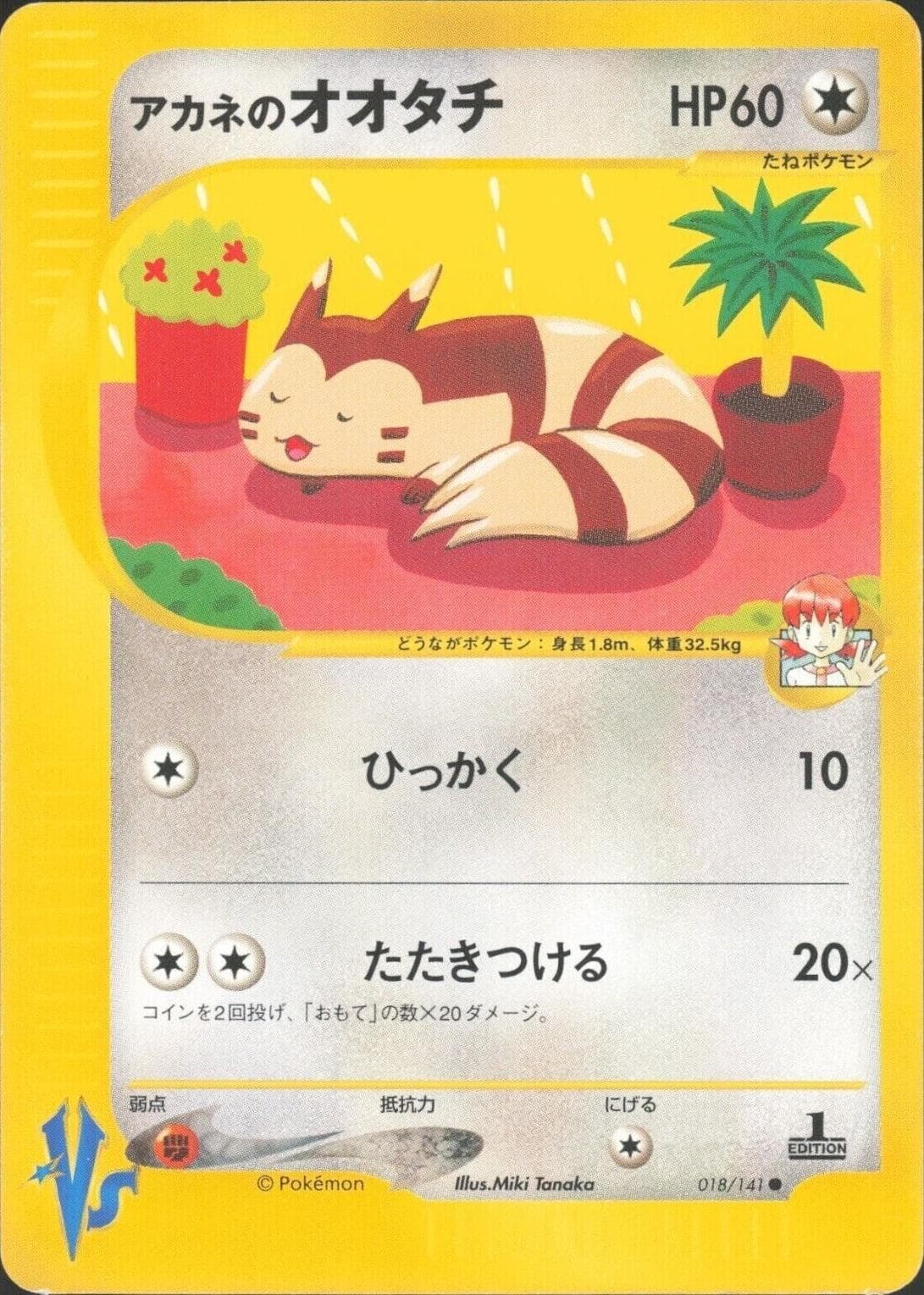 Whitney's Furret #18 — Pokemon Japanese VS