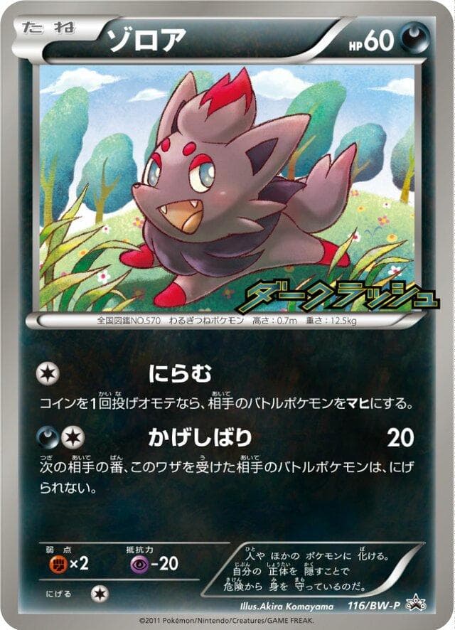 Zorua #116/BW-P — Pokemon Japanese Promo