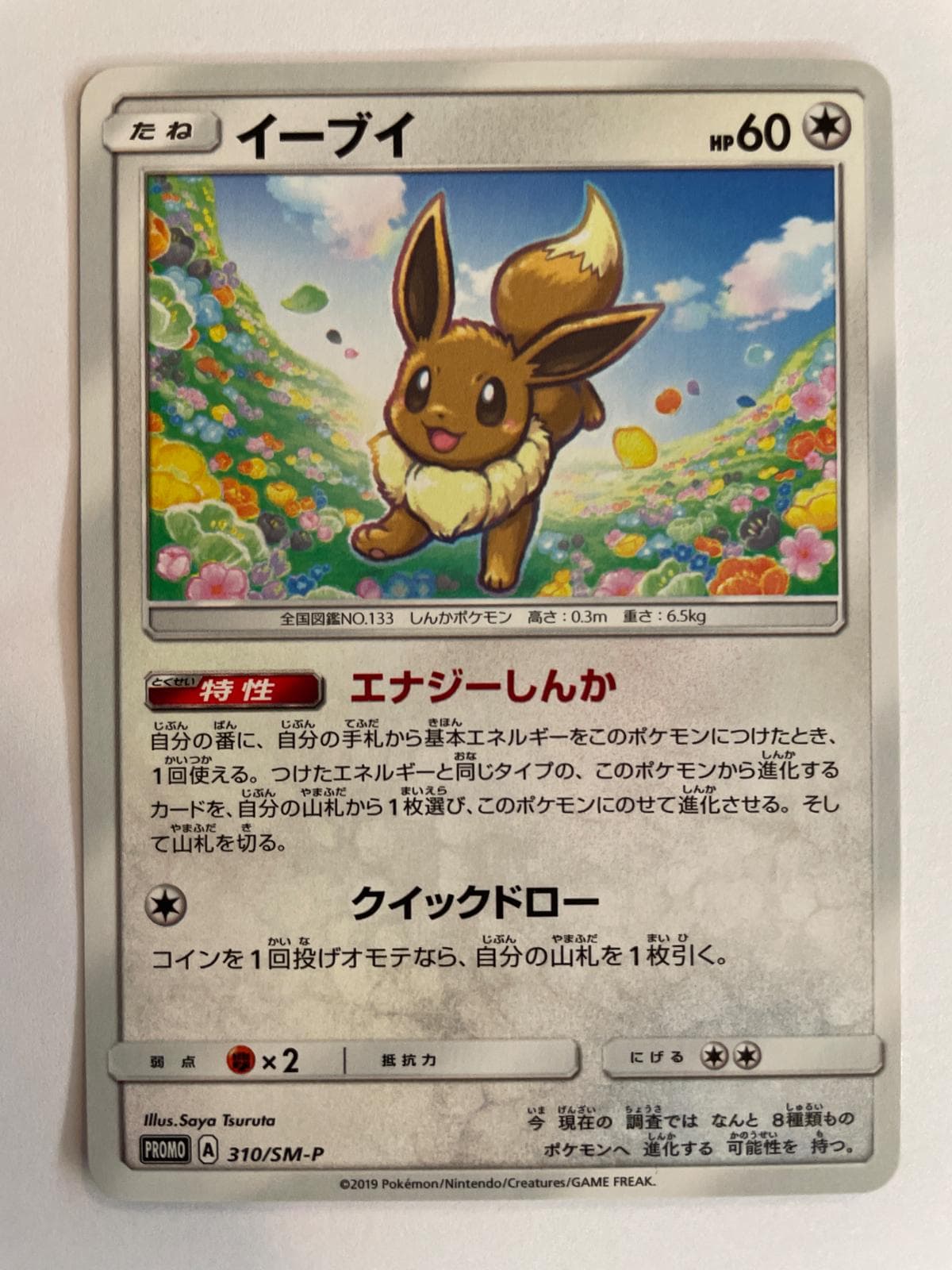 Eevee #310/SM-P — Pokemon Japanese Promo