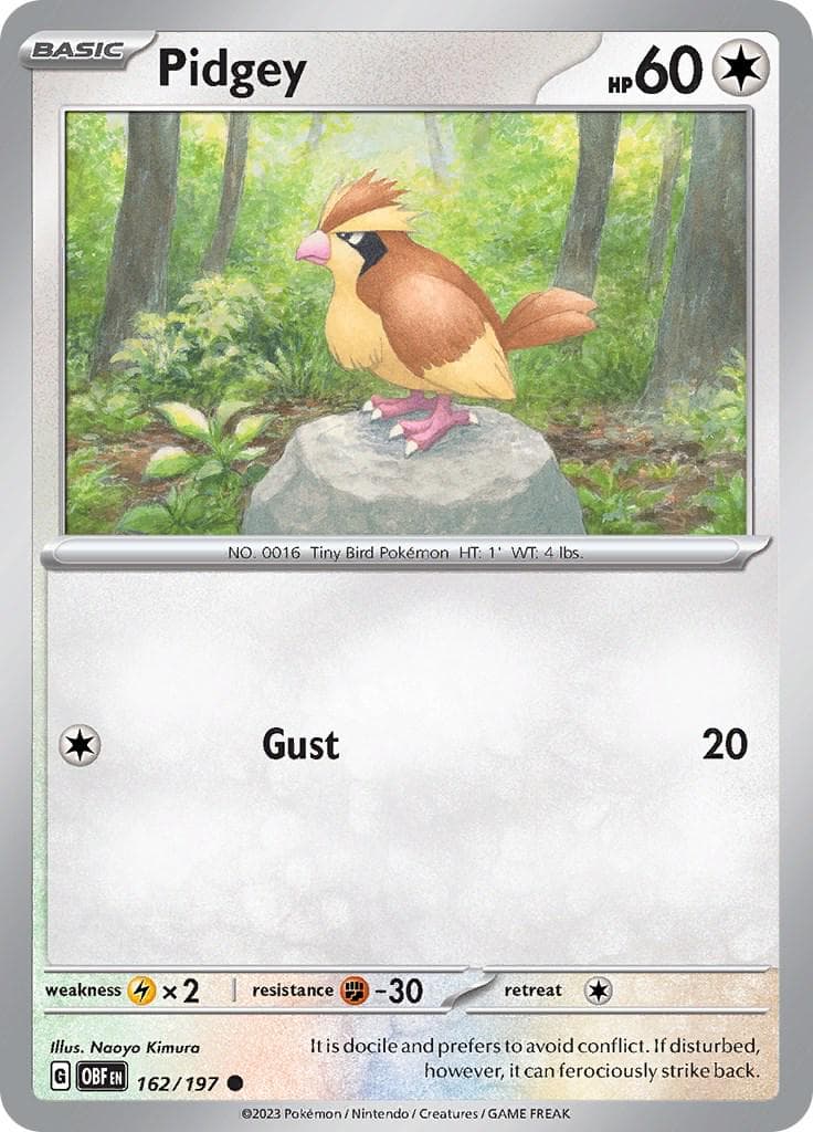 Pidgey #162 — Pokemon Obsidian Flames