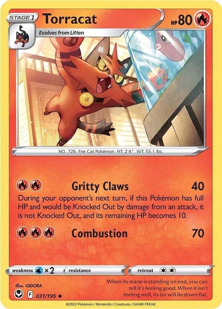 Torracat #31 — Pokemon Silver Tempest
